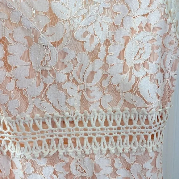 Main Strip Lace Blush Pink Dress - Picture 3 of 3